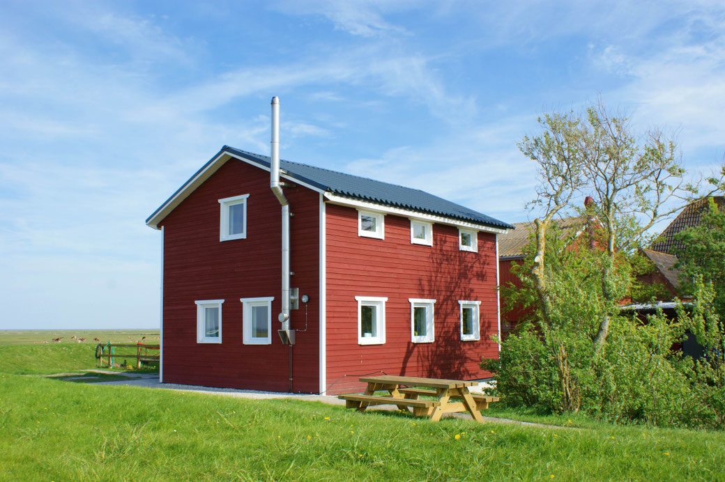 Ferienhäuser Fir Frune + Dat Ferienhus (Boyens)