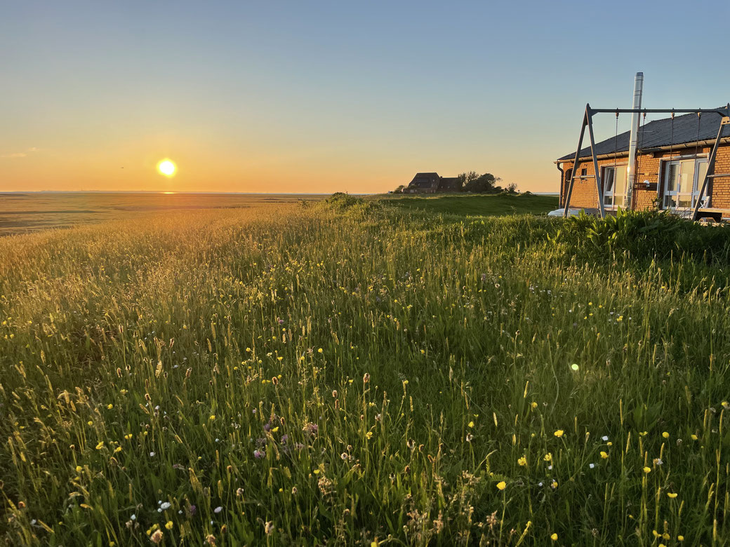 Ferienhäuser Fir Frune + Dat Ferienhus (Boyens)