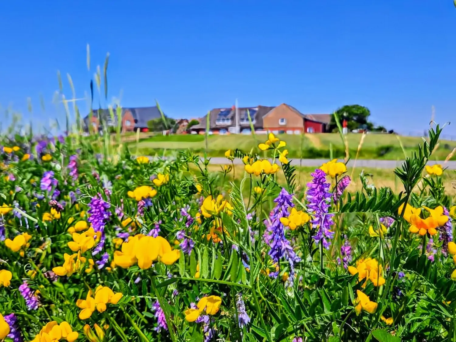 Haus Helgoland