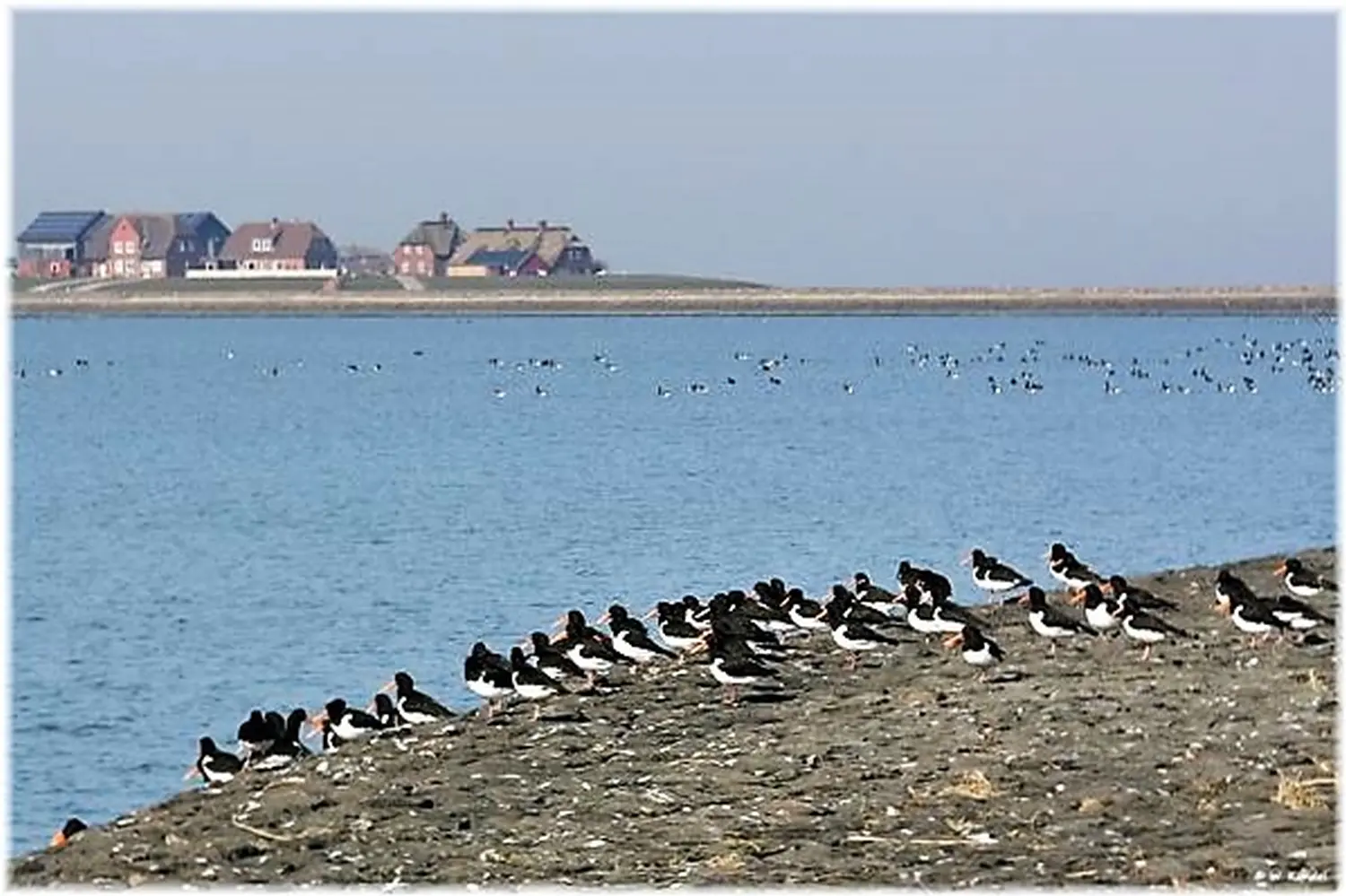 Haus Helgoland