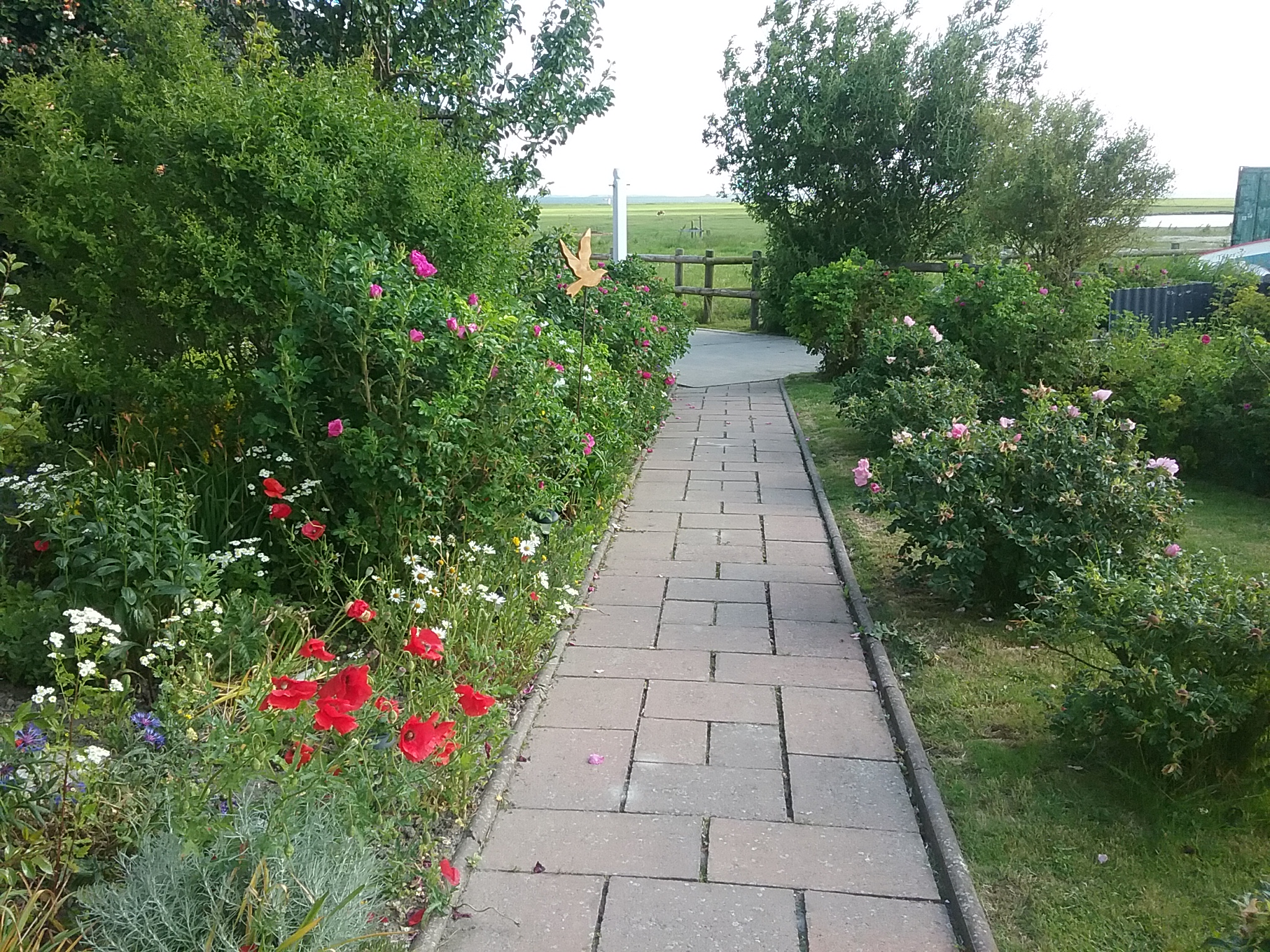 Haus Watt'n Blick