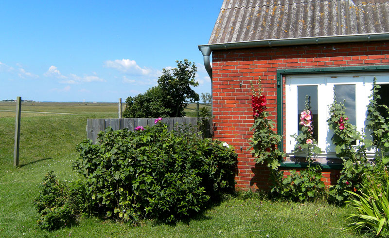 Haus Weitblick