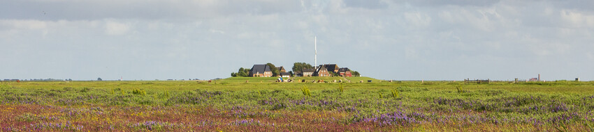 Hus Halligland