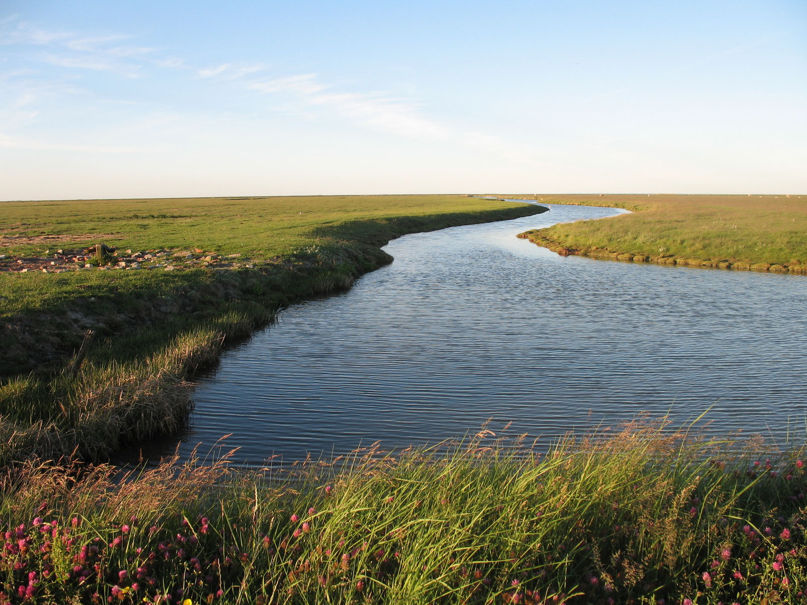 Hus Halligland
