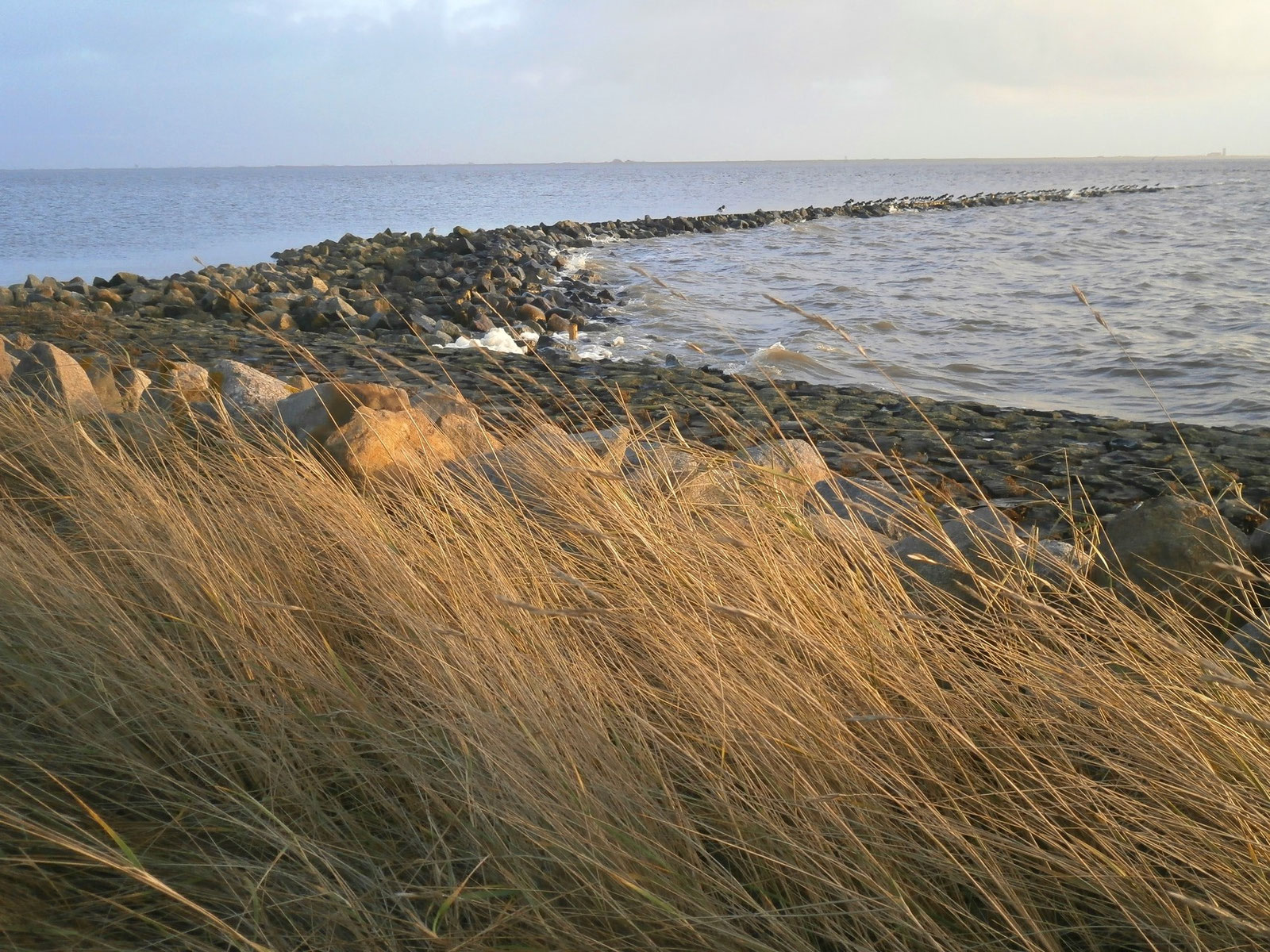 Hus Halligland